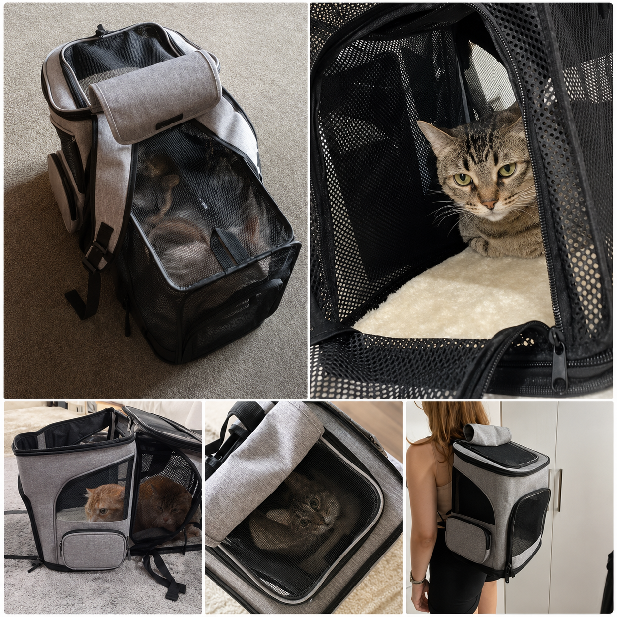 PetHarbor™ CloudCarry Expandable Pet Carrier Backpack for Cats & Small Dogs