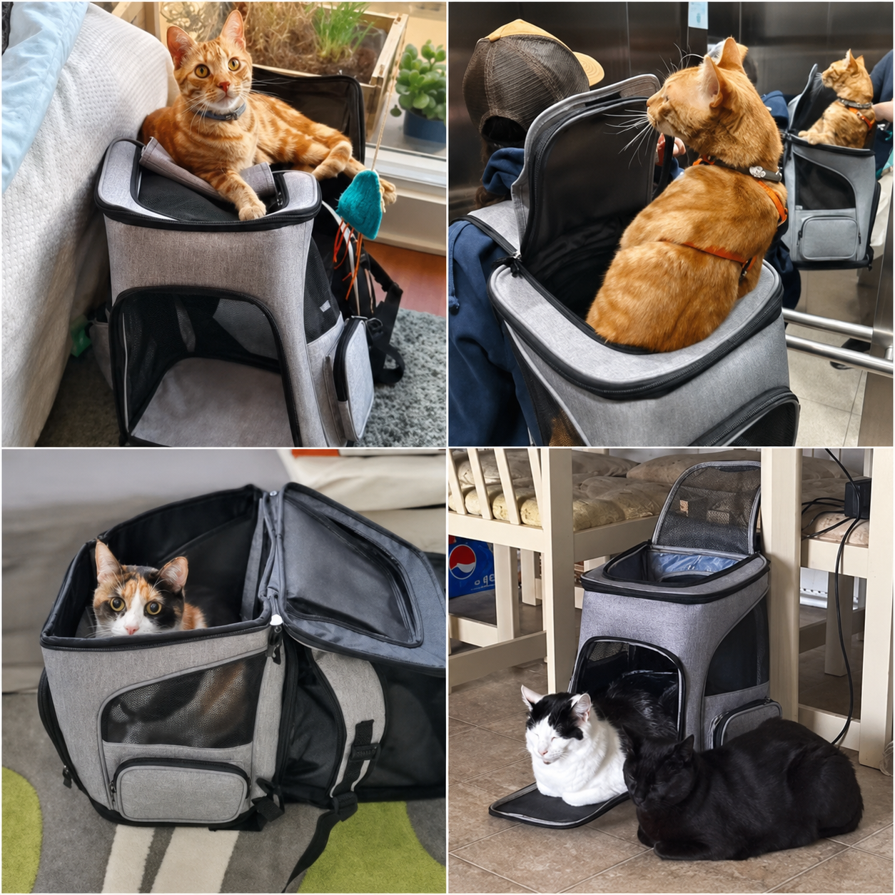 PetHarbor™ CloudCarry Expandable Pet Carrier Backpack for Cats & Small Dogs