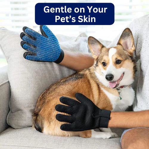 PetHarbor™ Grooming Pet Glove